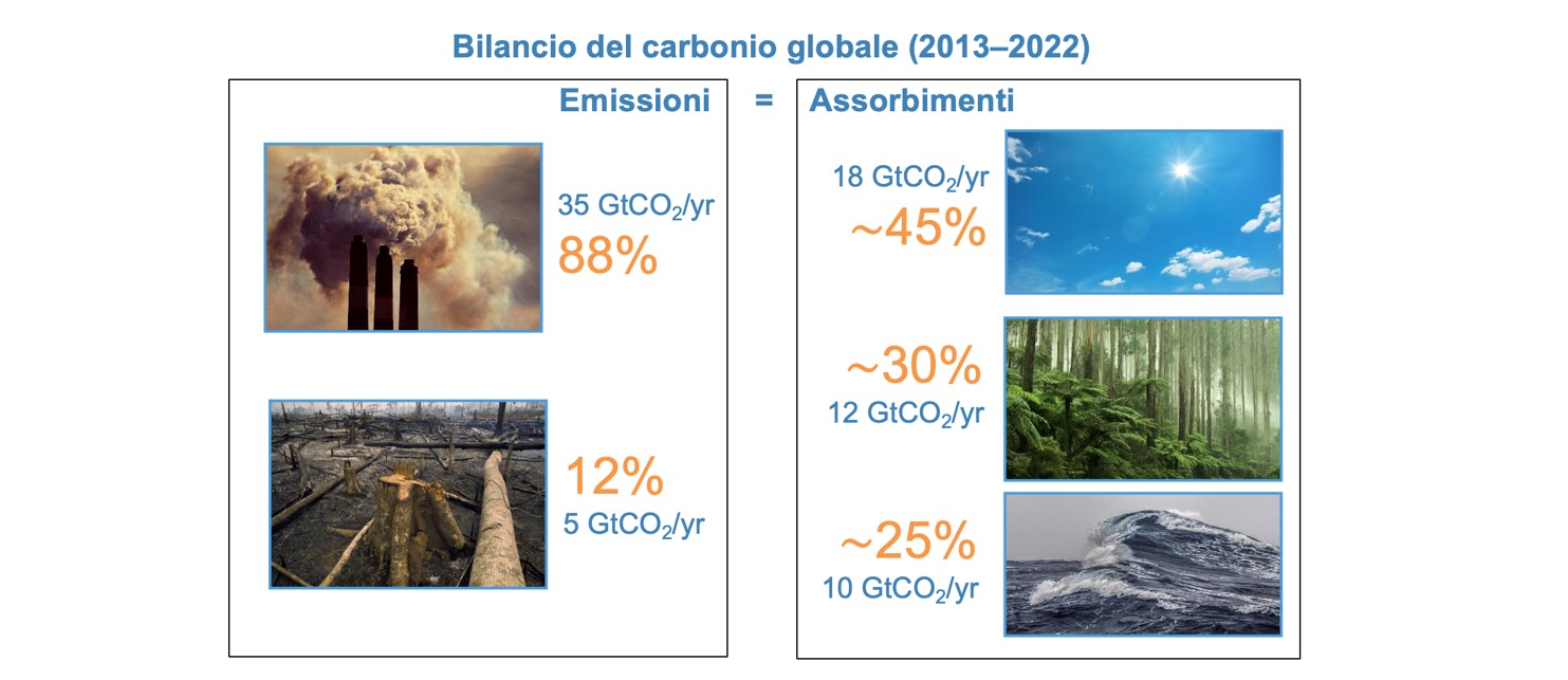 Numeri approssimati da Global Carbon Project