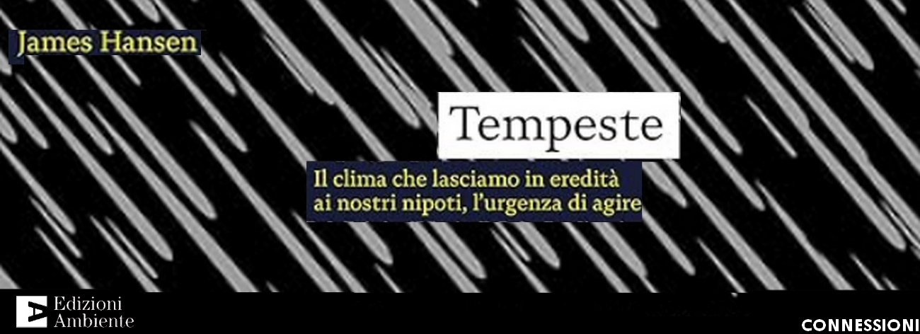 Immagine 7