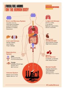 Fossil fuel harms on the human boby
